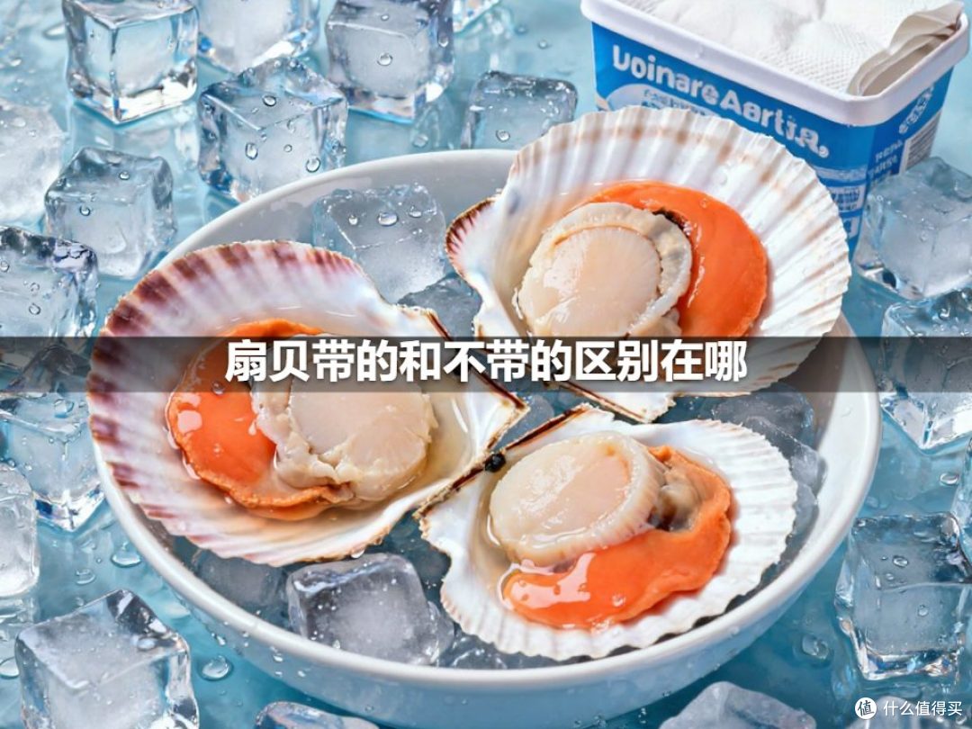 扇贝带的和不带的区别在哪