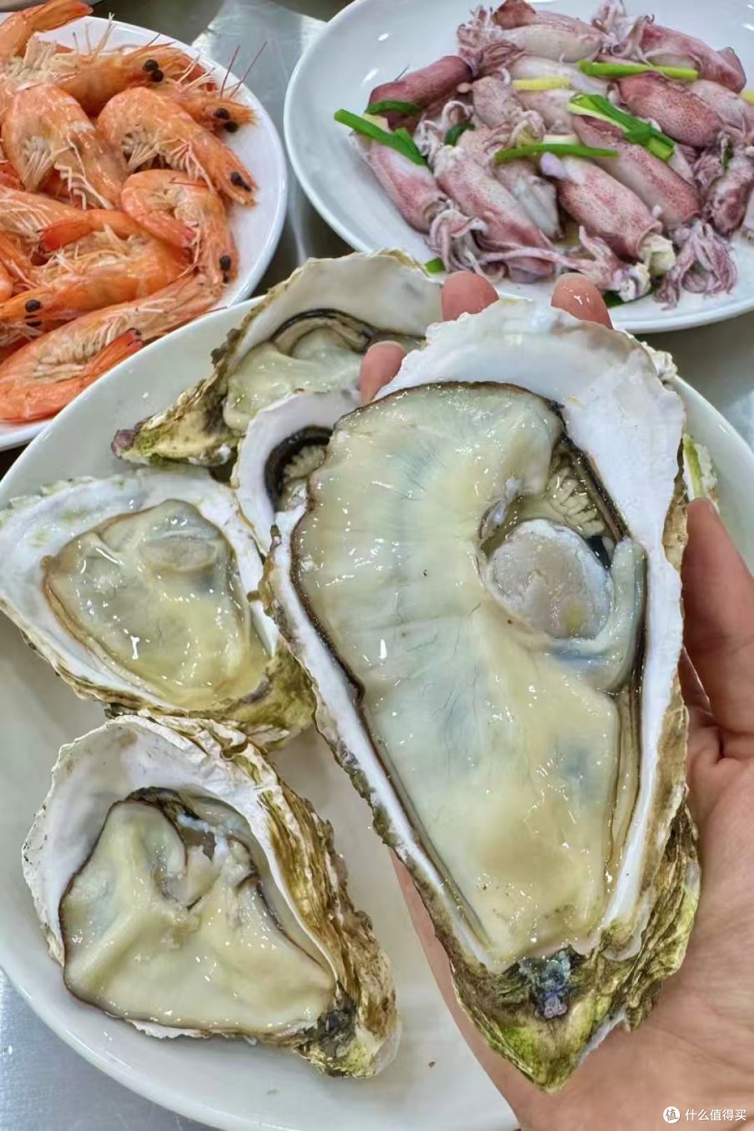 海陵岛亲子赶海美食攻略｜带娃挖沙吃海鲜这样安排 🦀