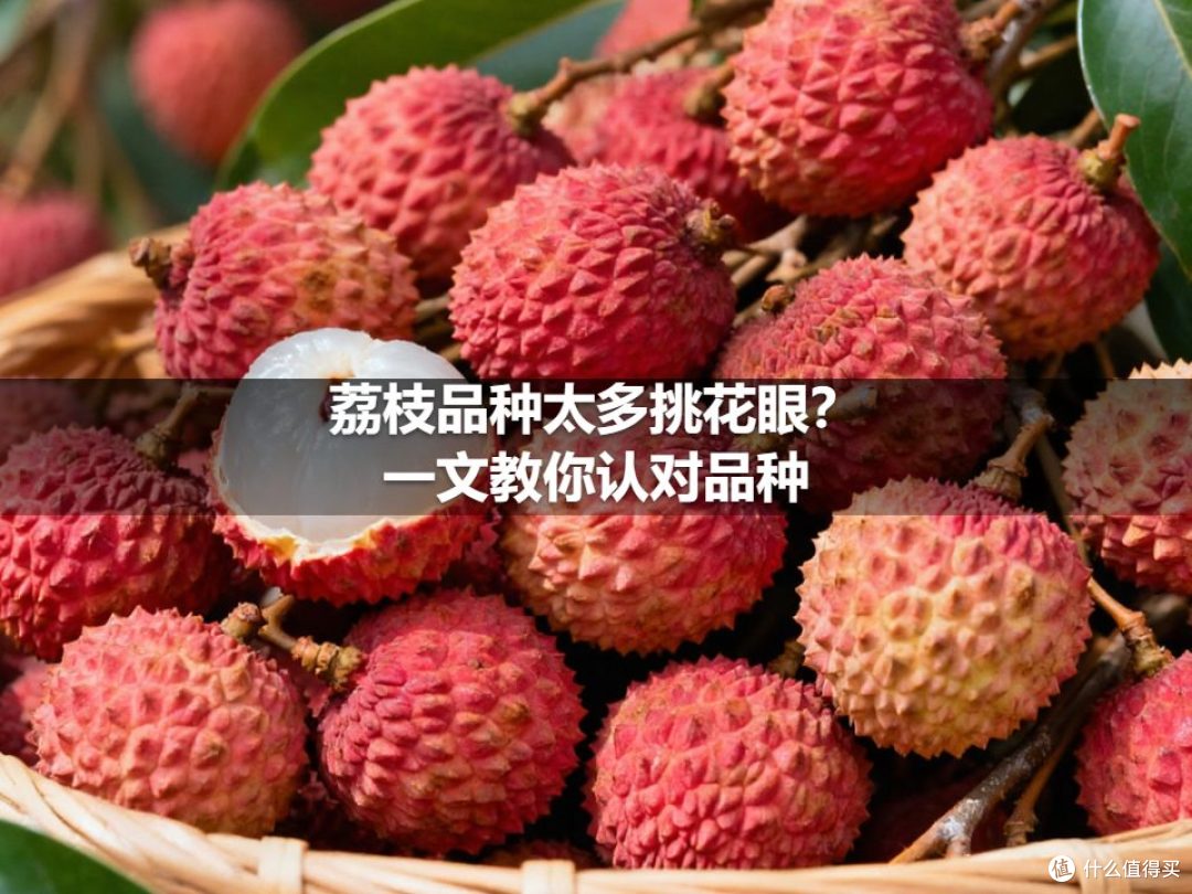 荔枝品种太多挑花眼？一文教你认对品种