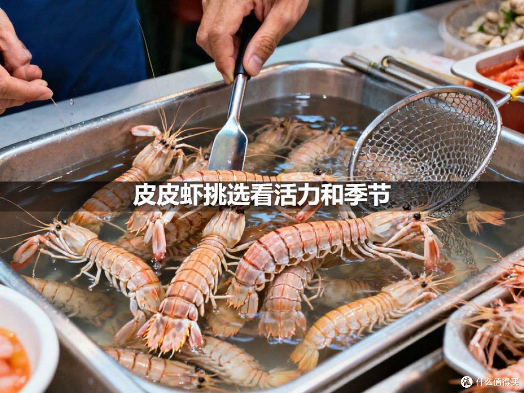 皮皮虾挑选看活力和季节