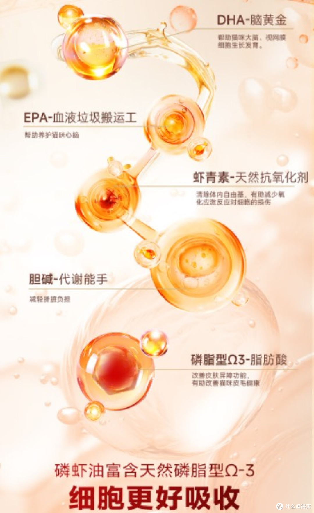 猫咪掉毛护理全指南:从 “蒲公英” 到顺滑毛发的科学养护方案