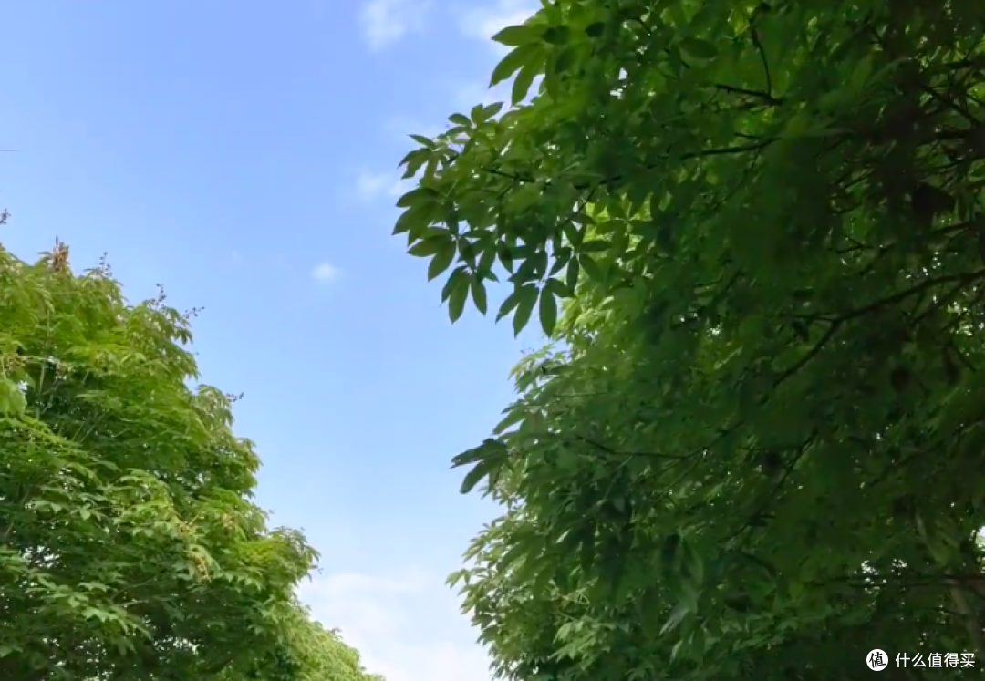 收狐霜夏天用效果到底咋样？用过了说出真话