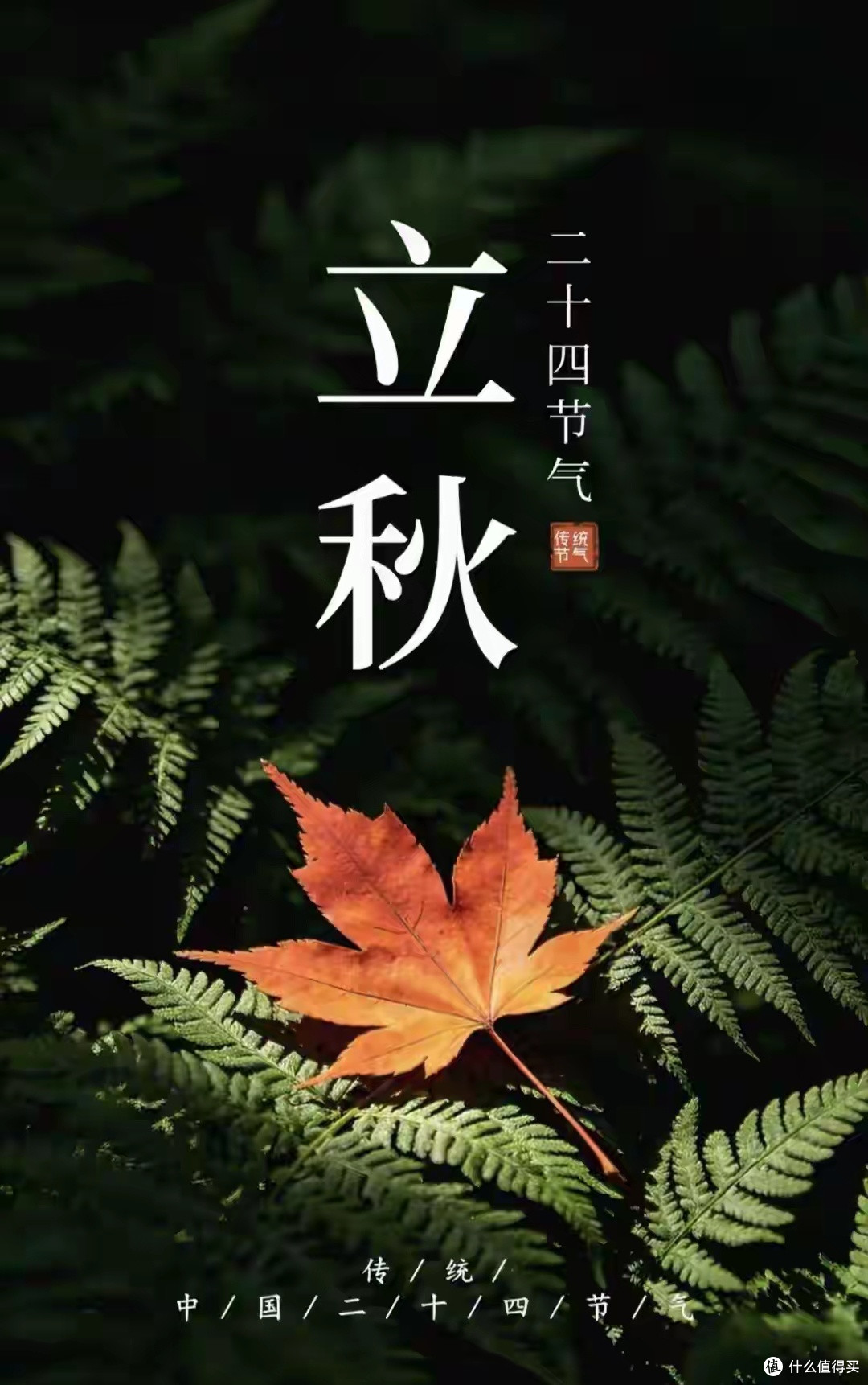“立秋不躲秋,秋冬是非多”!8月7日立秋,3类人要多留心