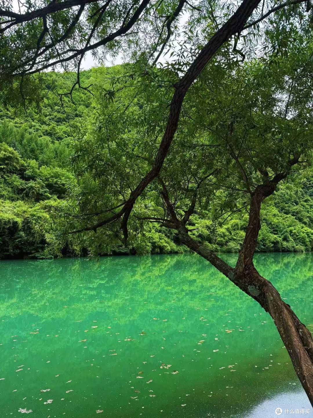 鹅嫚沟的湖泊，盛夏水色如翡翠