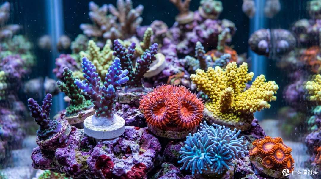 DIY海水缸KH测试仪系列【一】KH测试原理