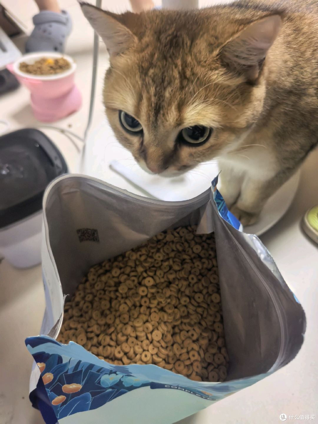 蓝氏高肉慢烘兔肉烘焙猫粮实测|我家猫咪狂炫的高蛋白烘焙粮