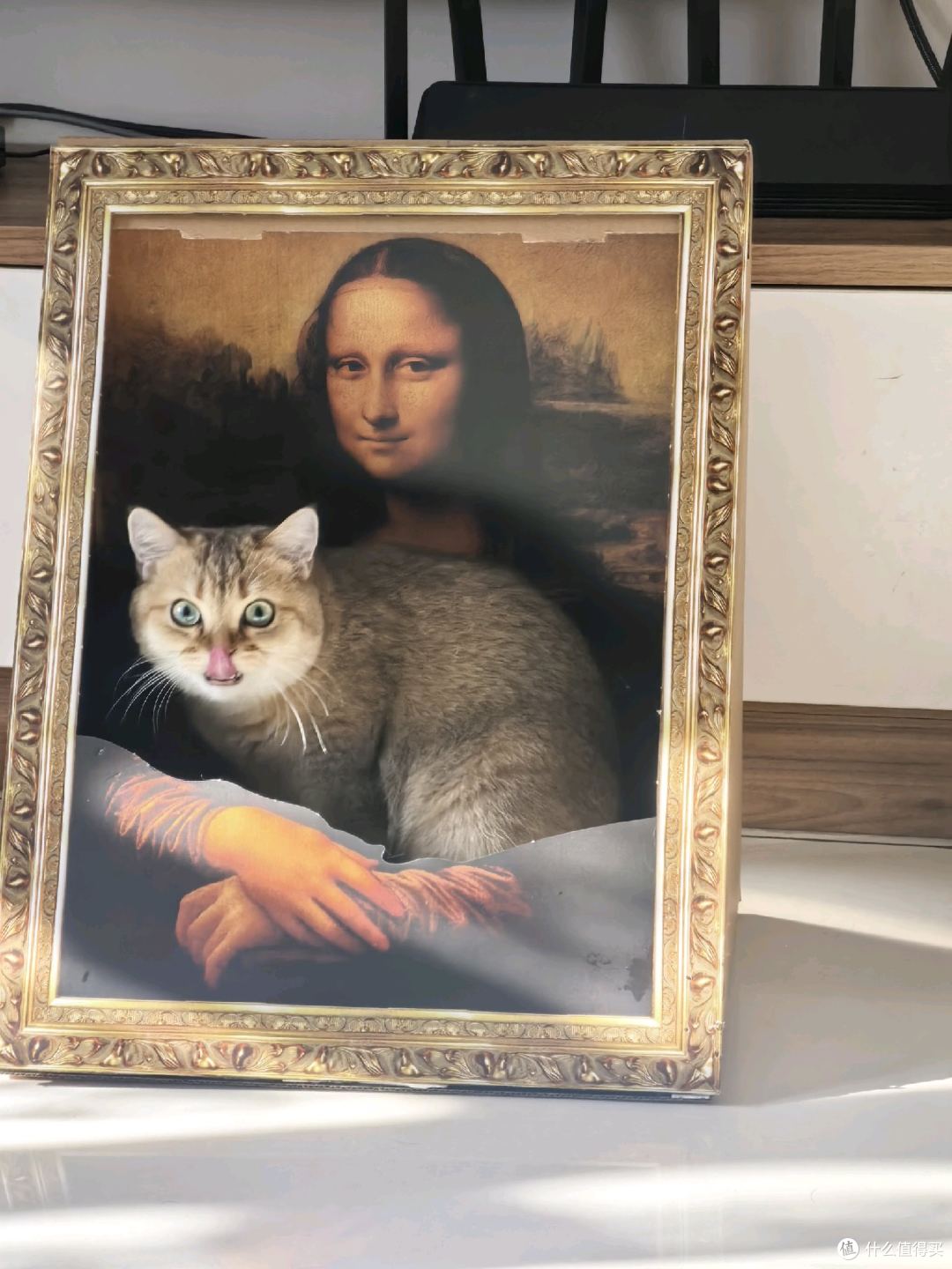 蓝氏高肉慢烘兔肉烘焙猫粮实测|我家猫咪狂炫的高蛋白烘焙粮
