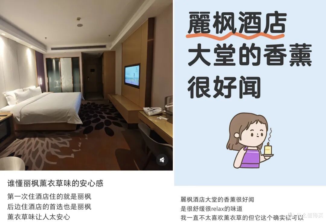 门店破千家的麗枫,为什么还要跟自己“过不去”?