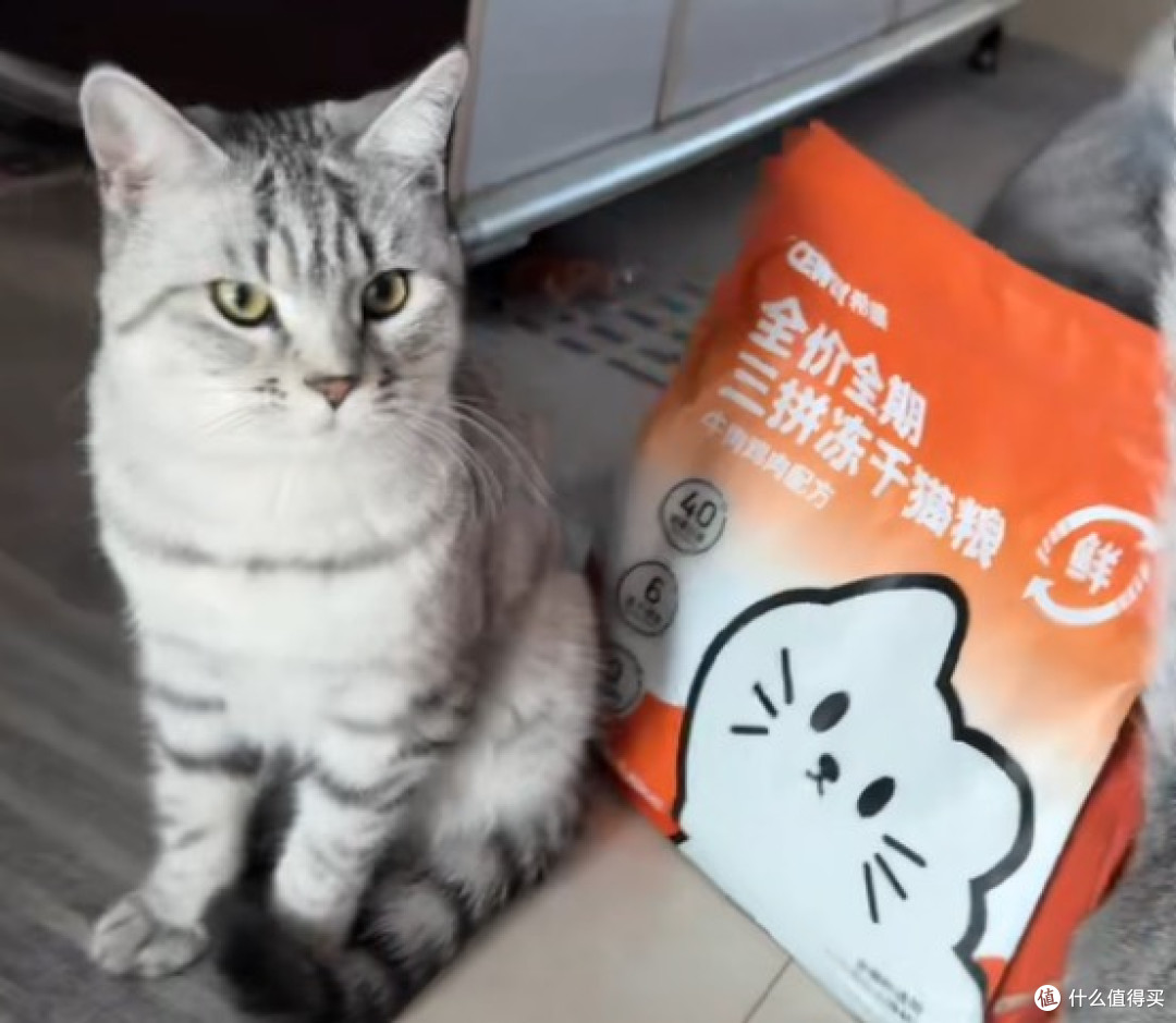 2026猫粮横向对比,希喂、百利、网易严选猫粮,哪款性价比更突出