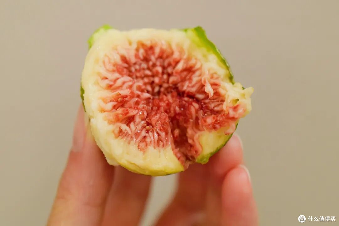 好吃程度100分的海滨城市,海胆不输大连,水果赛过云南