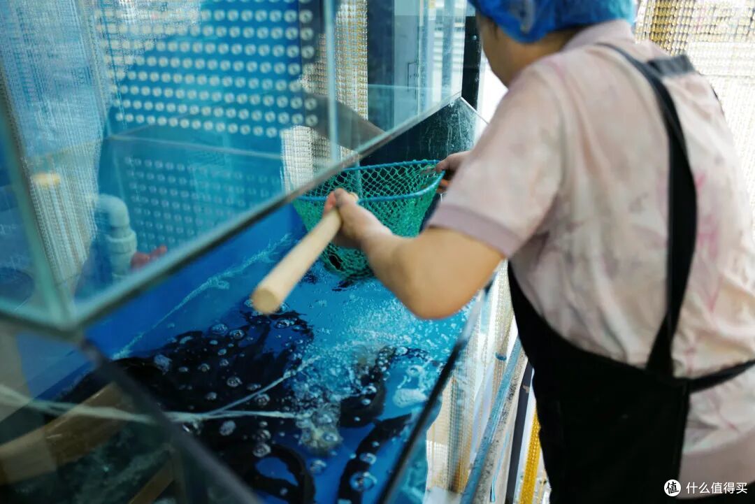 好吃程度100分的海滨城市,海胆不输大连,水果赛过云南