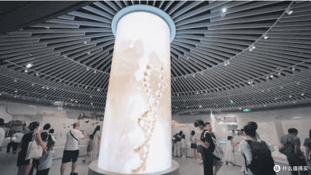 央视报道!华南最大!洲明参与打造的深圳自然博物馆火了!
