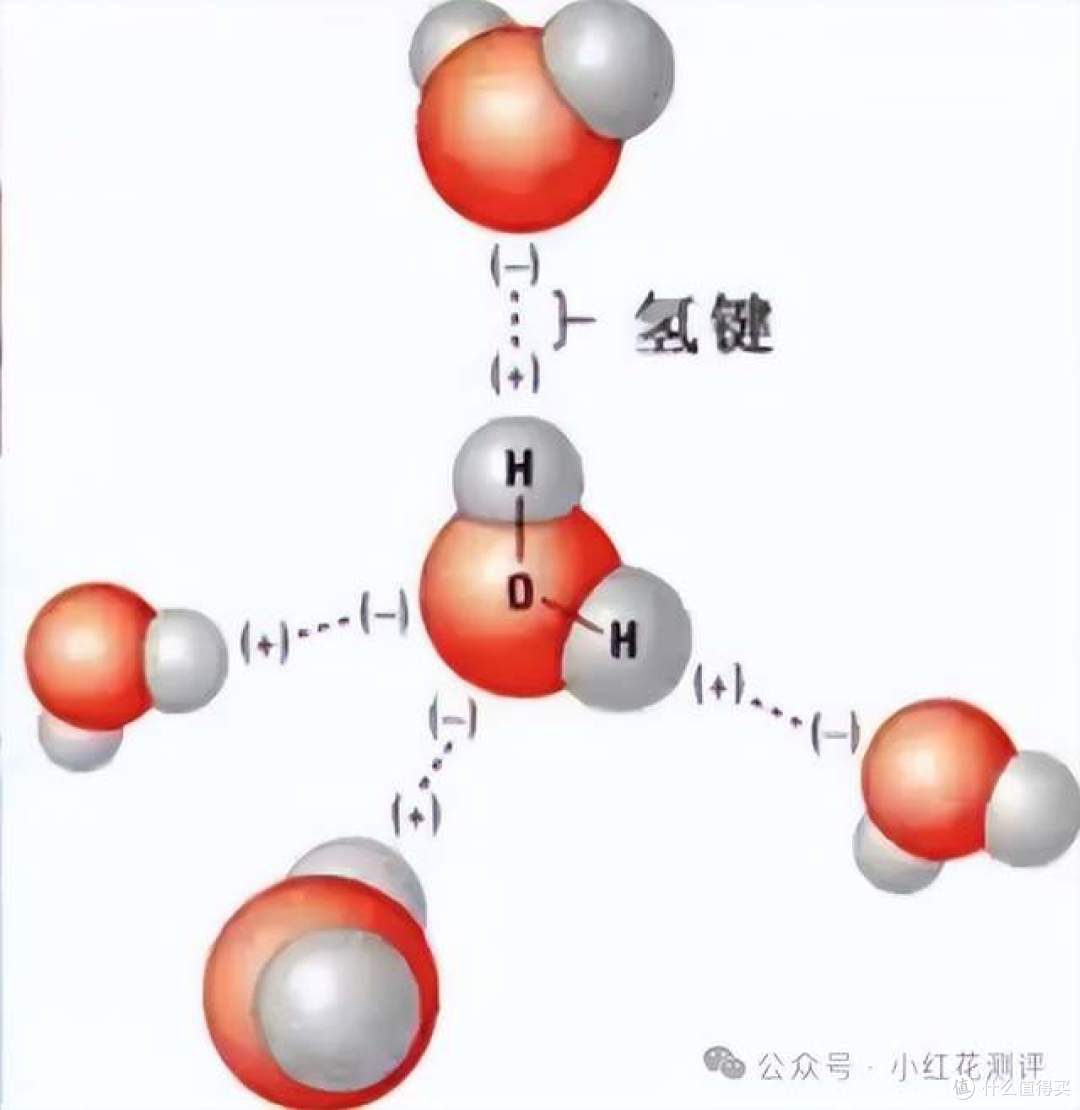 500万粉大V也出错?检测5款著名零食,4款检出「反式脂肪」