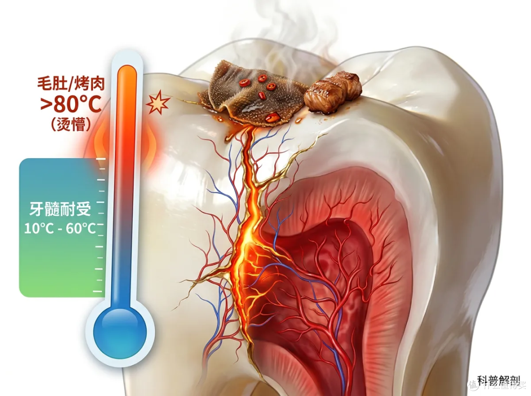 牙坏了无法修复!这个伤牙习惯,还在被很多人低估