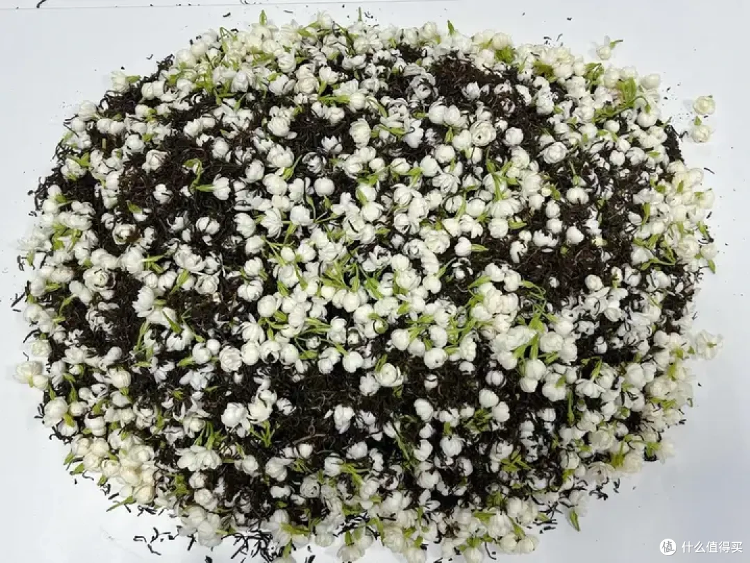 茉莉花茶选购指南|学懂茉莉花茶才能不踩坑!!!