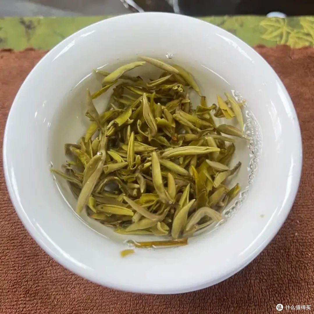 茉莉花茶选购指南|学懂茉莉花茶才能不踩坑!!!