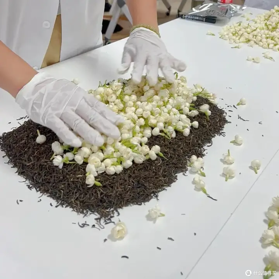 茉莉花茶选购指南|学懂茉莉花茶才能不踩坑!!!