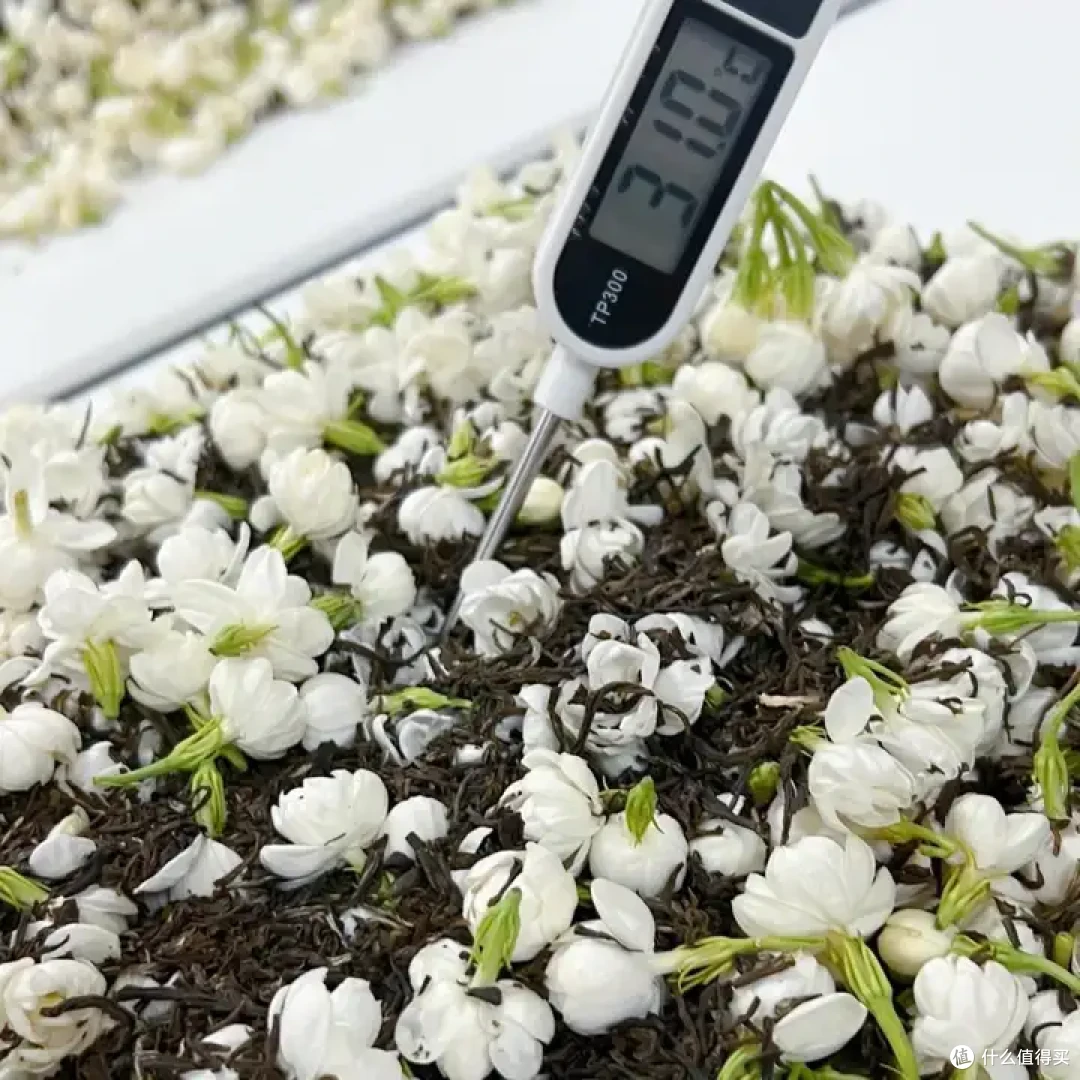 茉莉花茶选购指南|学懂茉莉花茶才能不踩坑!!!