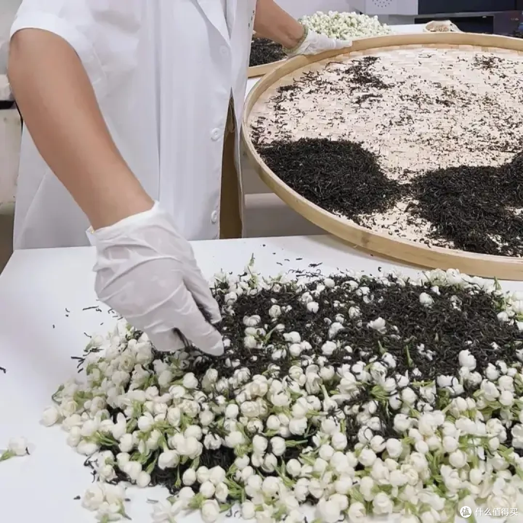 茉莉花茶选购指南|学懂茉莉花茶才能不踩坑!!!