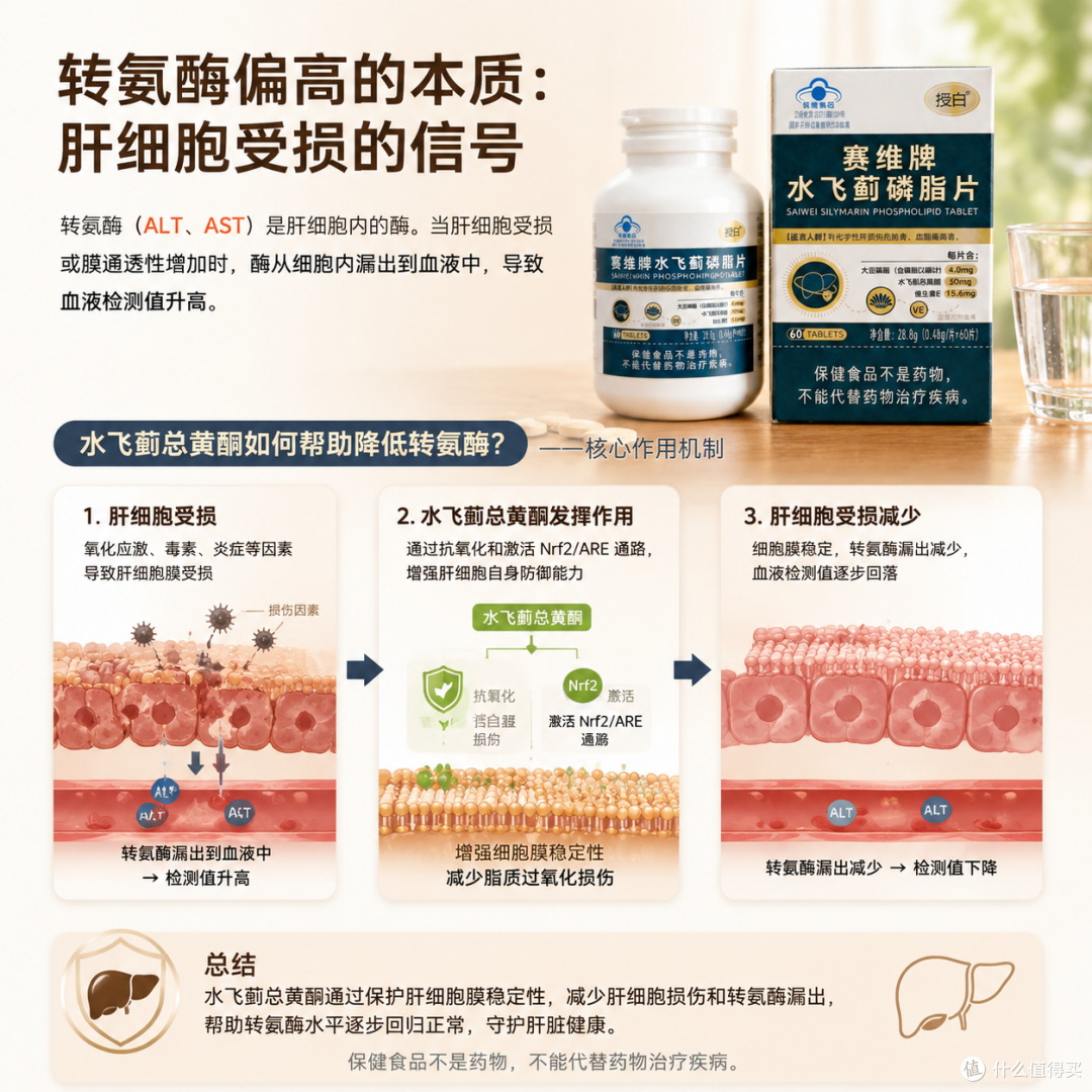授白水飞蓟吃多久转氨酶能降到正常范围