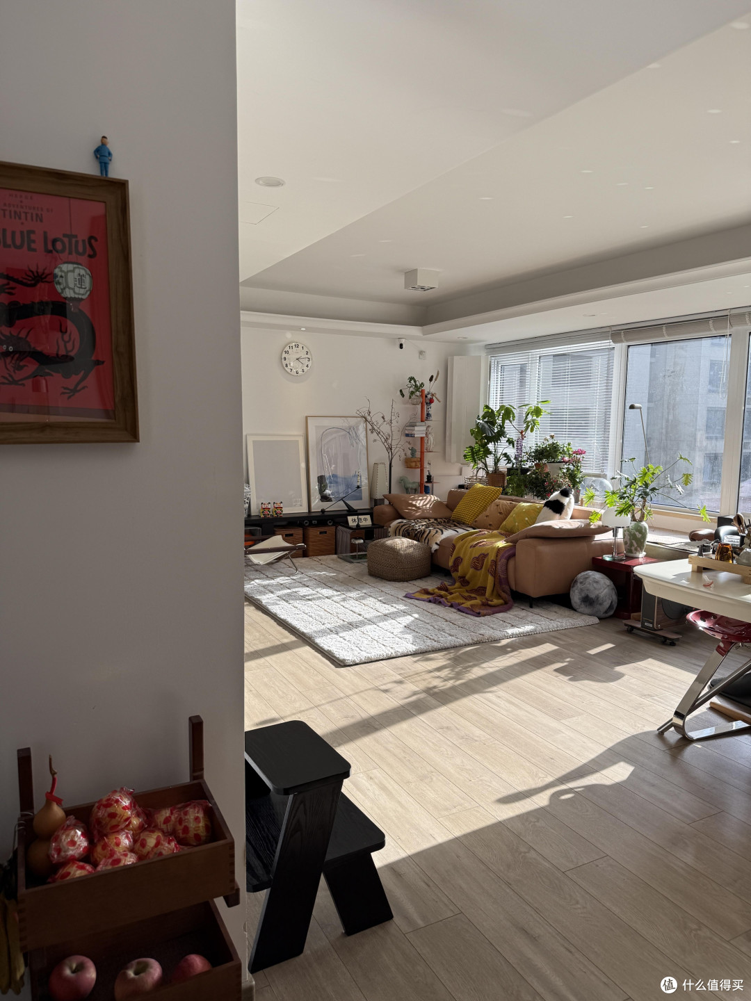 小户型改造:功能区巧思与长期入住体验