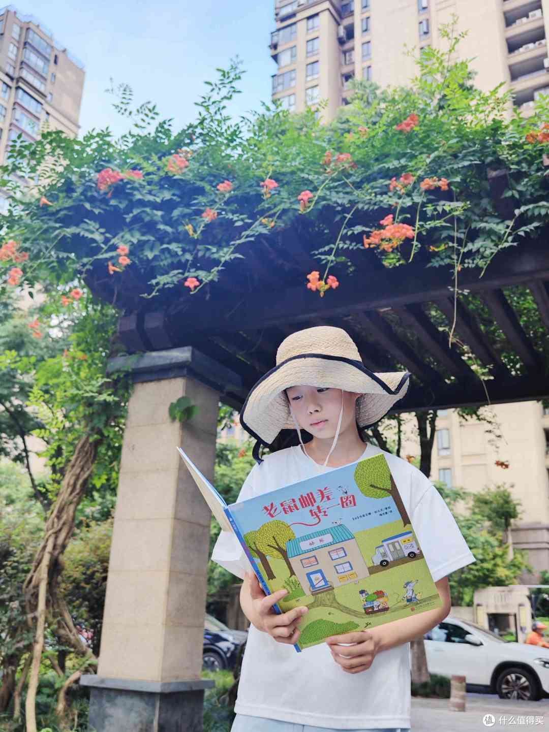 解锁孩子观察新“视”界的宝藏绘本,《老鼠邮差》10周年限定版