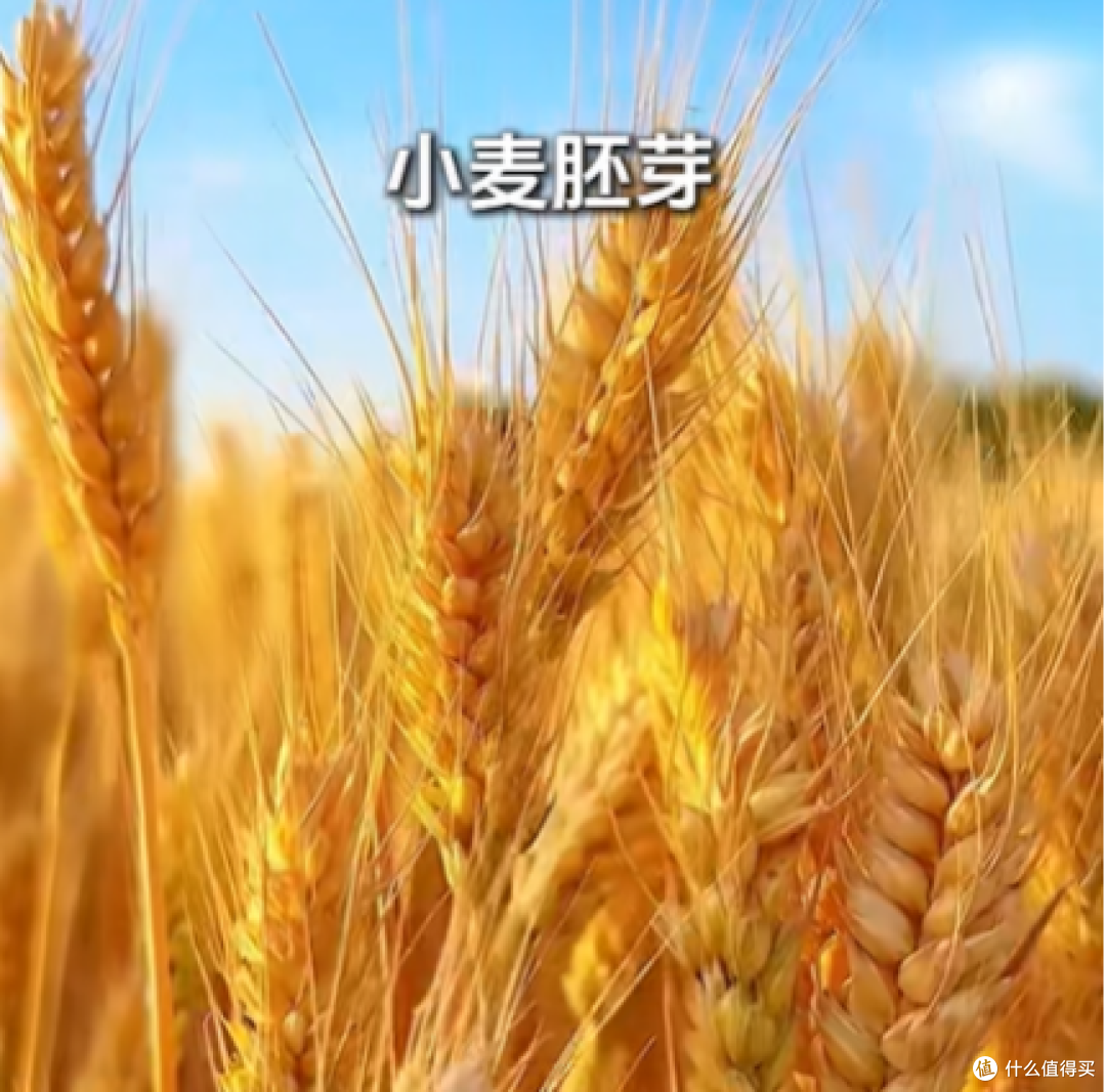 被低估的5种补充蛋白质食材有哪些?兴趣岛营养健康一文讲清