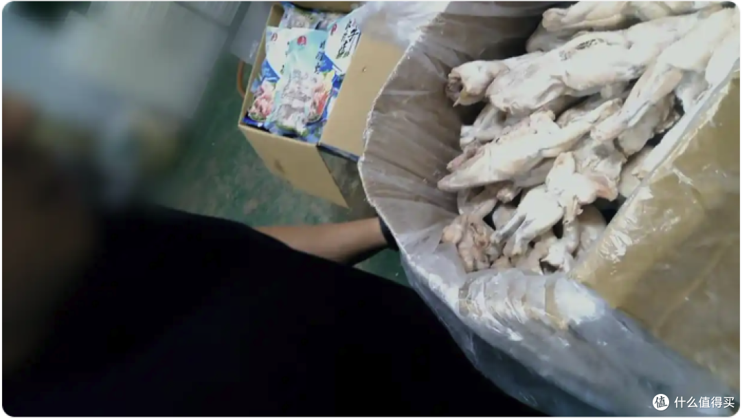 冷冻牛蛙产品装箱