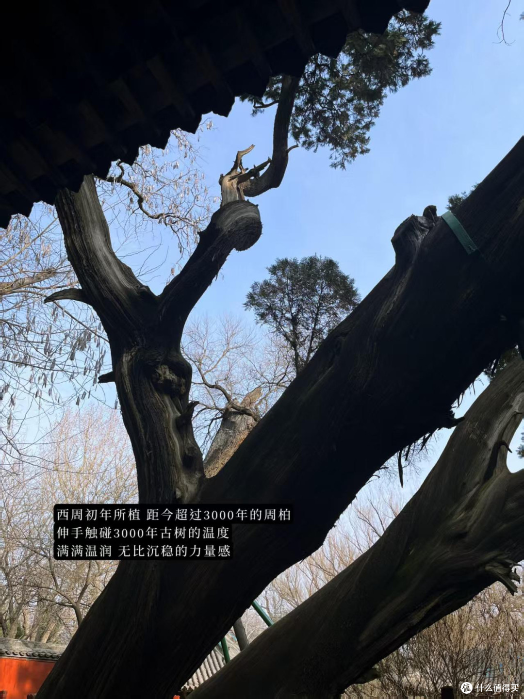 晋祠2.5小时,不请讲解我们可以看什么