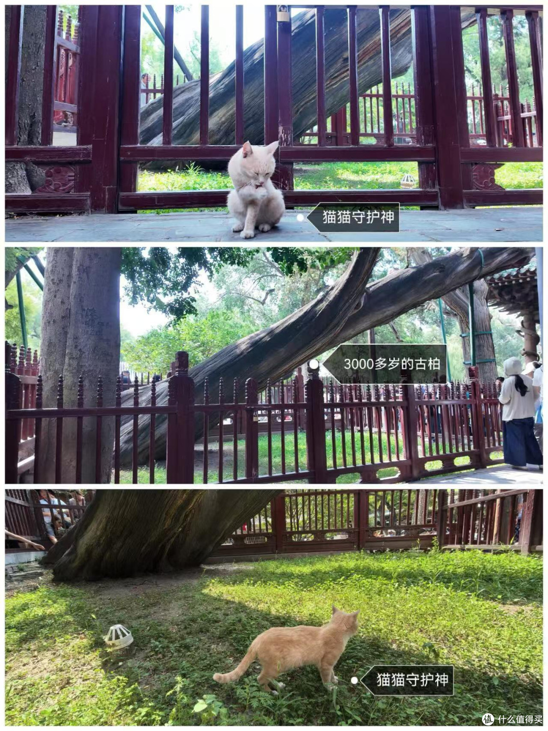 晋祠2.5小时,不请讲解我们可以看什么
