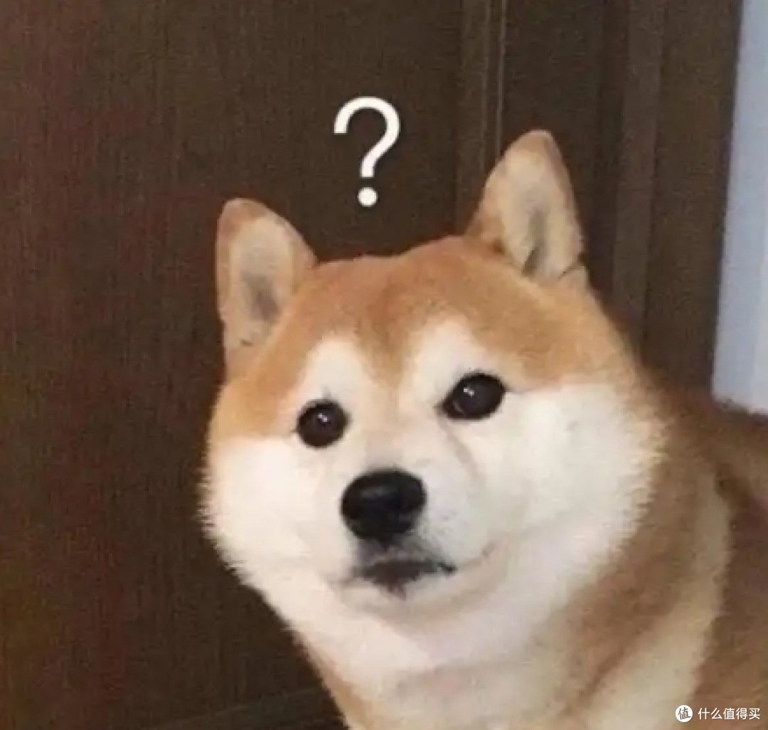 狗狗主动拿脑袋轻蹭你手背,把软乎乎的小依赖塞你手里