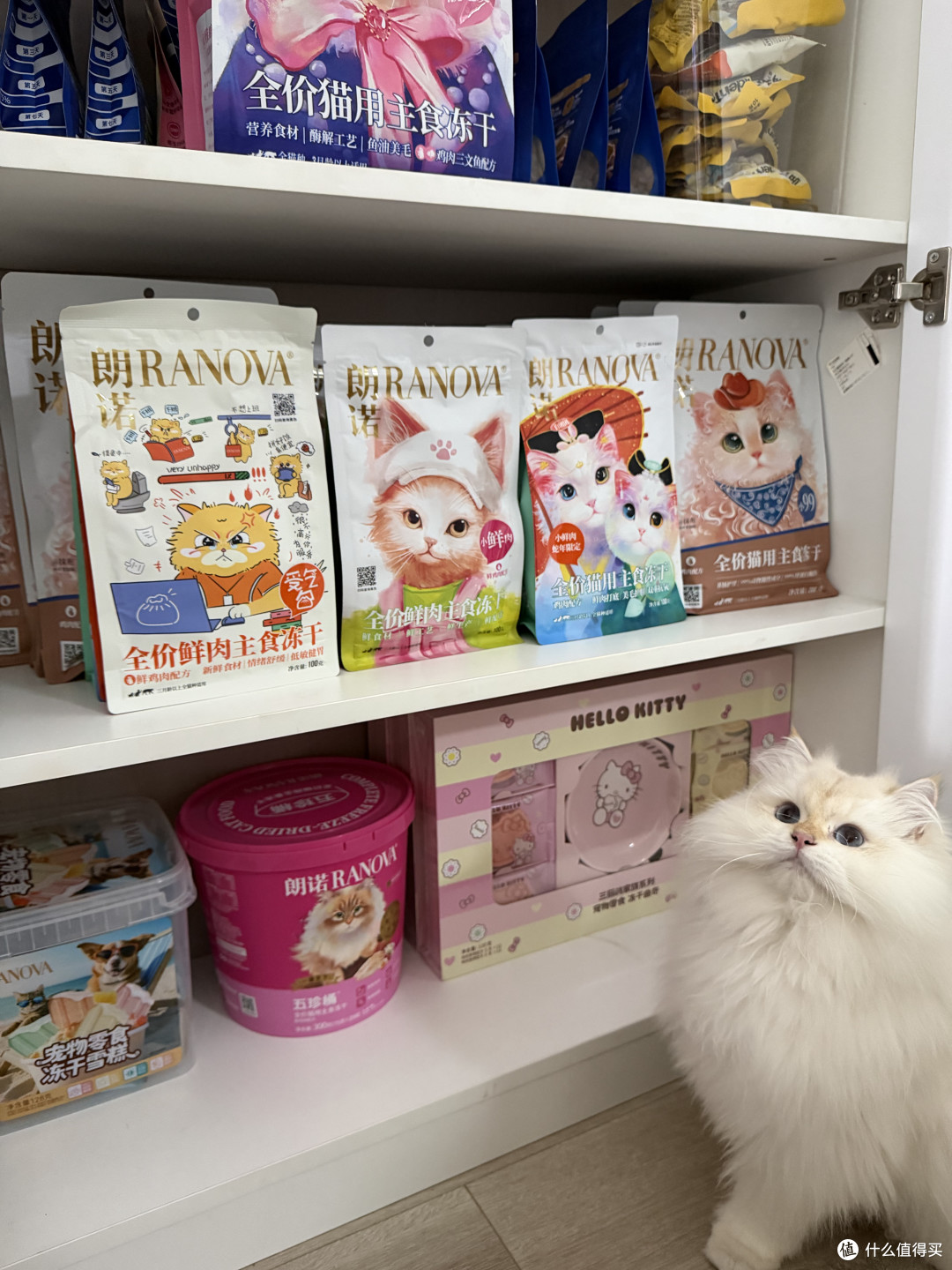 88节买多少才能无缝衔接双十一?多猫家庭先画一条消耗线