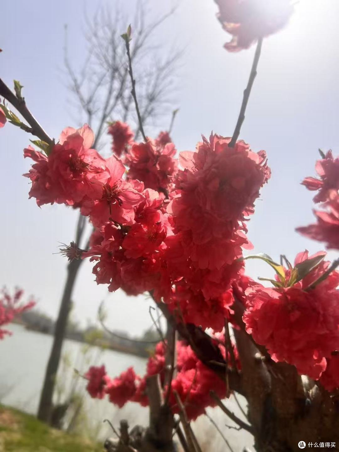 高EPA鱼油怎么选？2026中老年深海鱼油推荐榜，5款热门品牌成分对