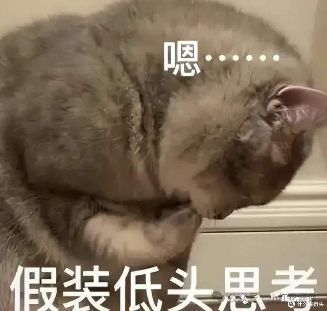 多款NFC果汁被爆造假,为什么只立案了两个?有猫腻?