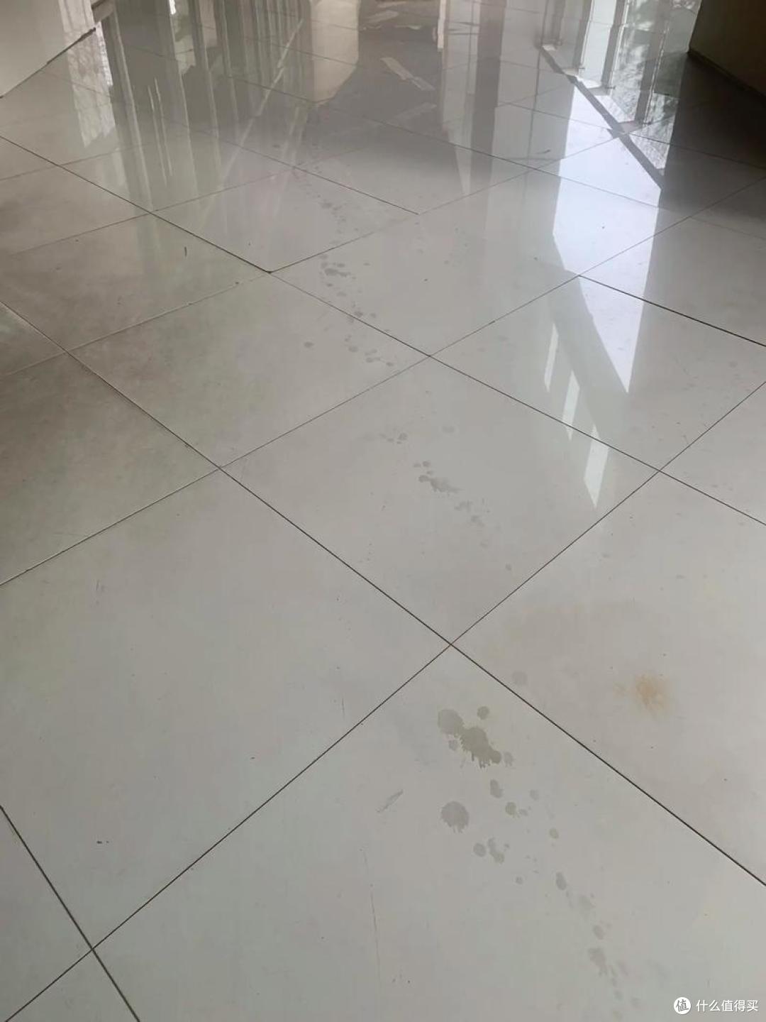 拖洗完地板之后,为啥总有一股腥味?真相就在这里!