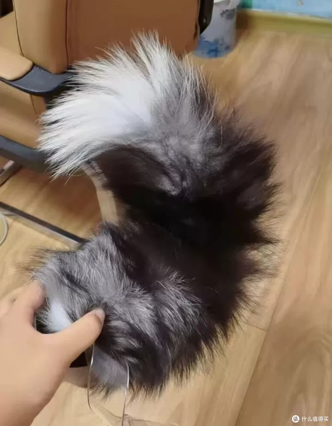 furry控狂喜!电动兽尾让我的兽设终于活过来了