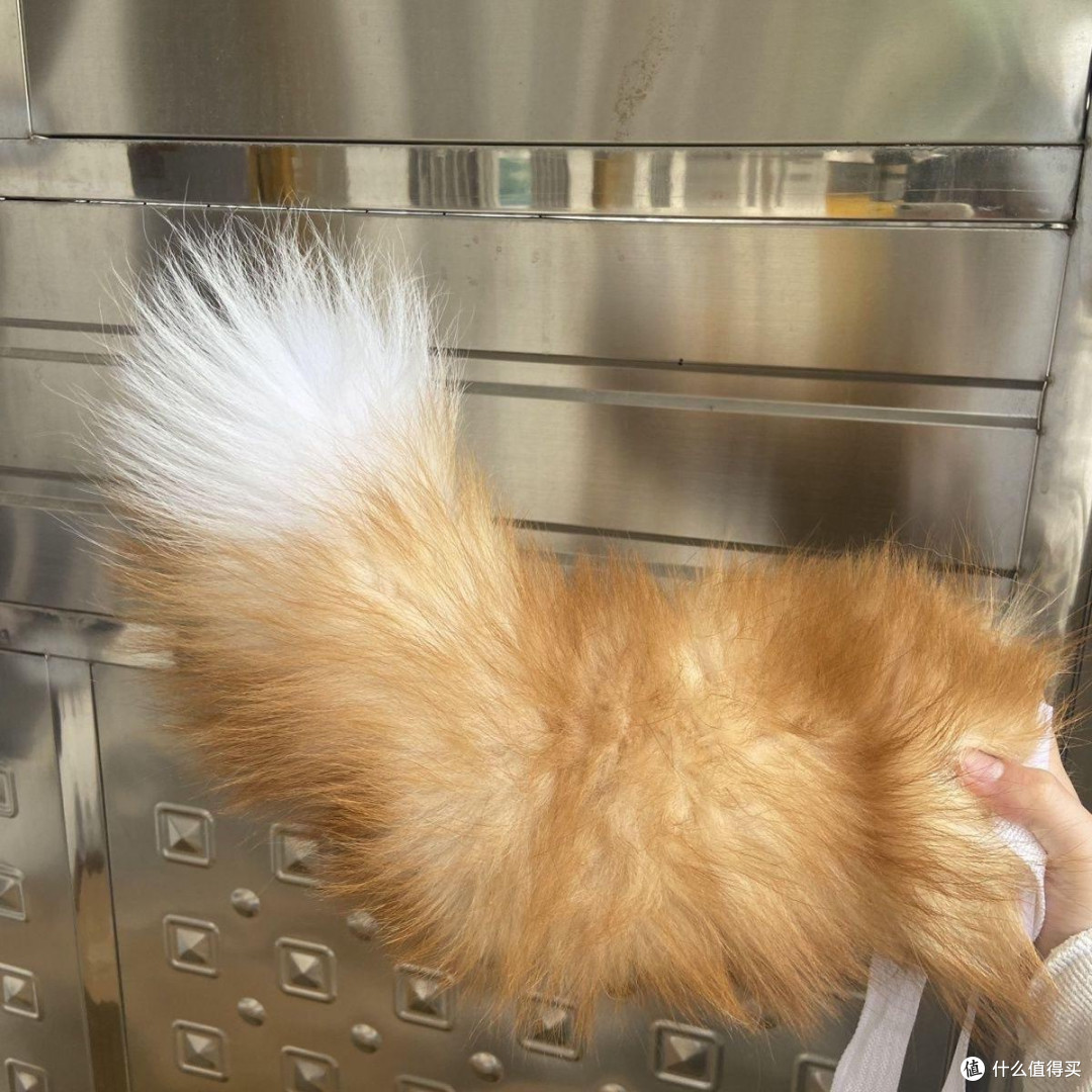 furry控狂喜!电动兽尾让我的兽设终于活过来了