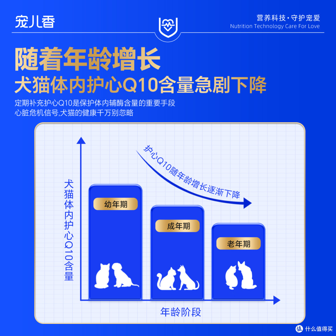 老年犬护心营养品推荐指南