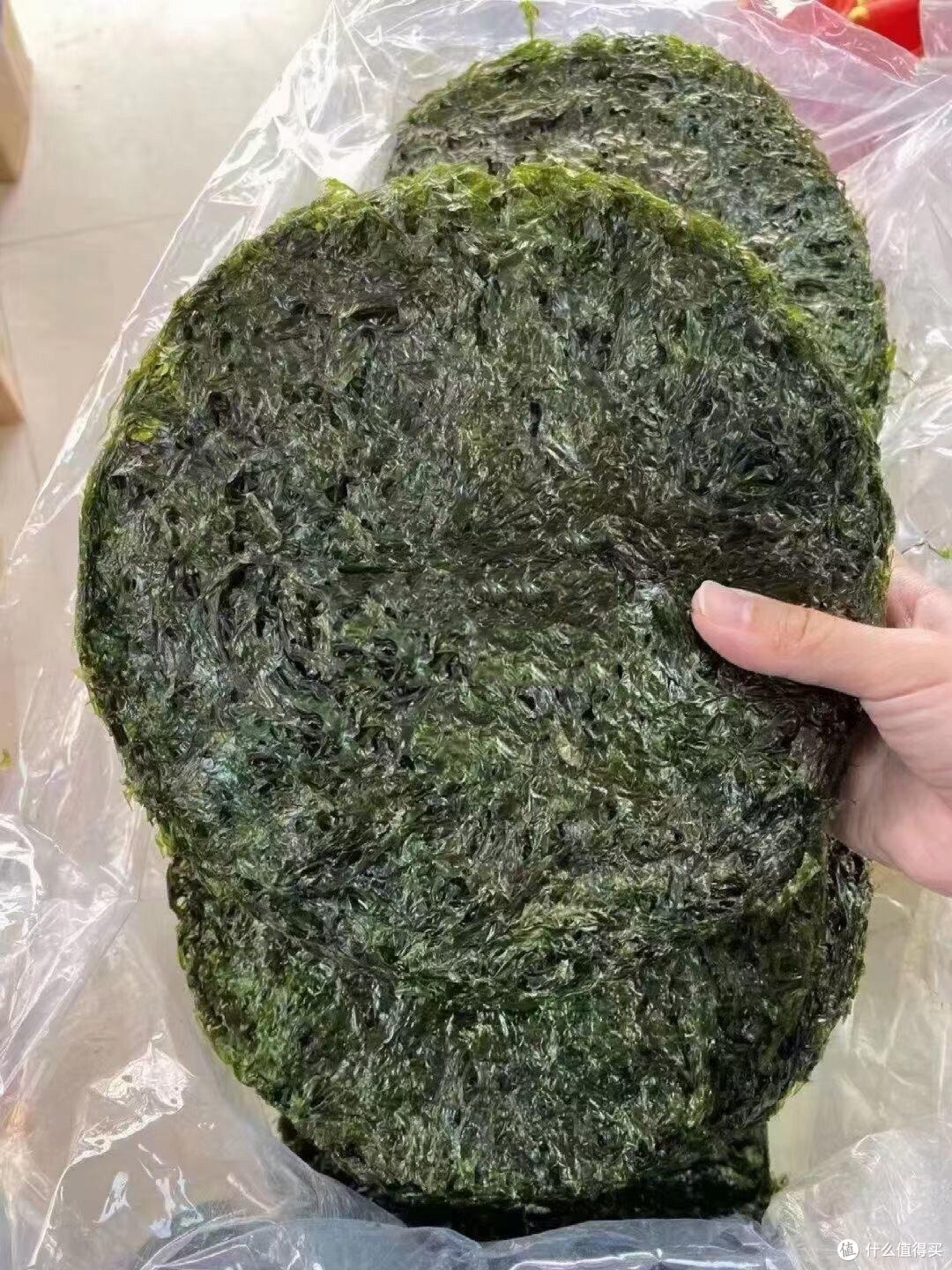 我国有多少种“紫菜”?哪个品种好吃?今天全读懂,来,涨知识了