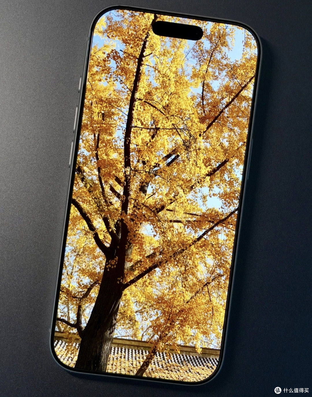 iPhone14Pro置换钛金属新机|屏幕/影像/手感全方位对比