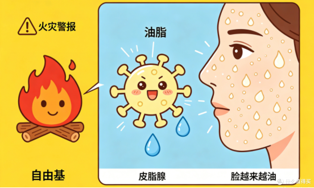为什么你夏天脸越来越油?自由基才是背后的“罪魁祸首”