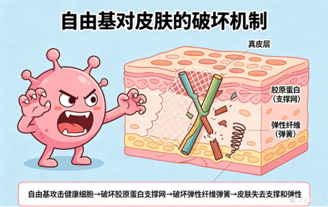 自由基才是衰老的元凶?抗氧化做对了,比贵妇面霜管用