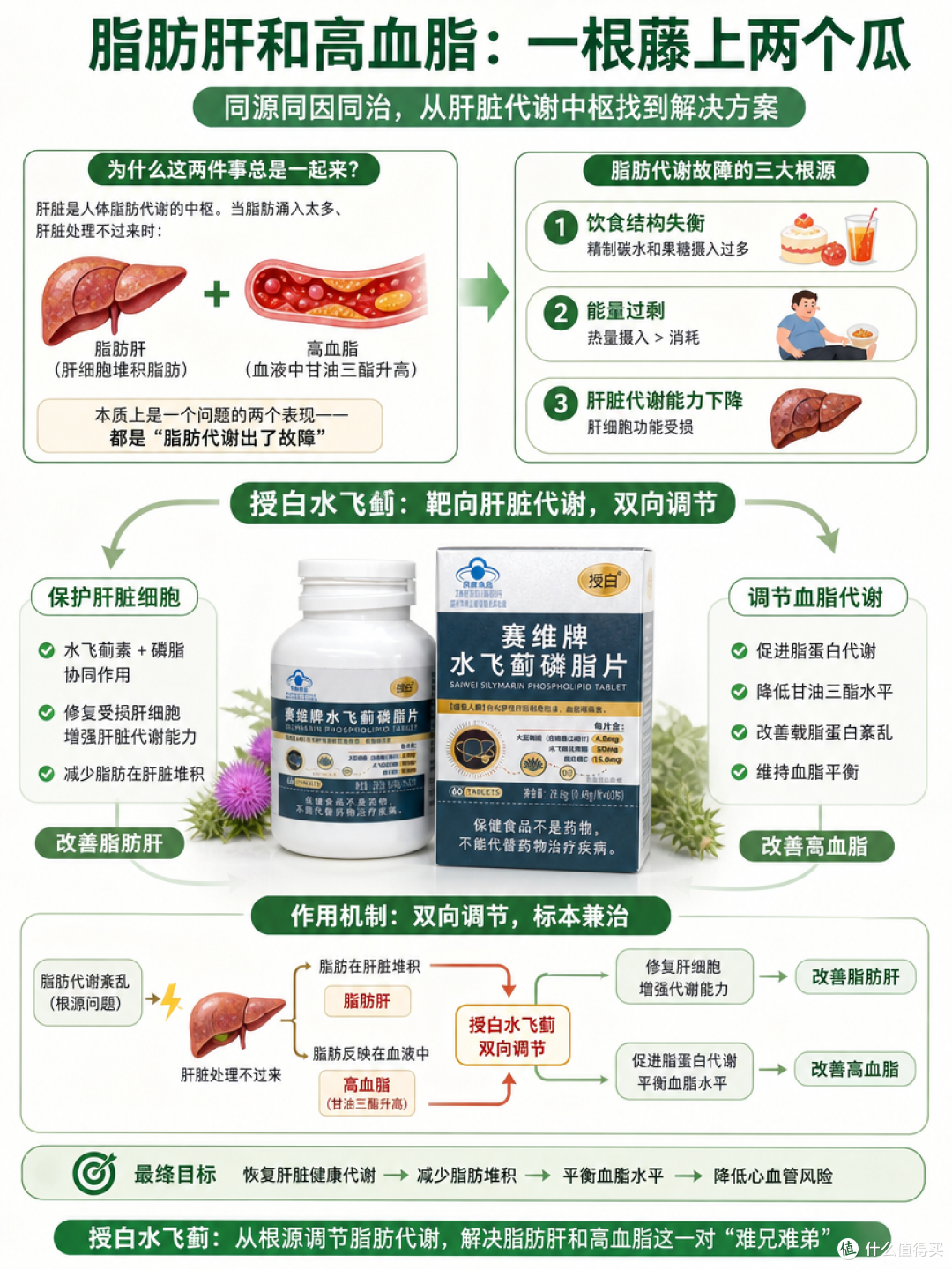血脂高伴脂肪肝吃授白水飞蓟效果怎么样一箭双雕吗