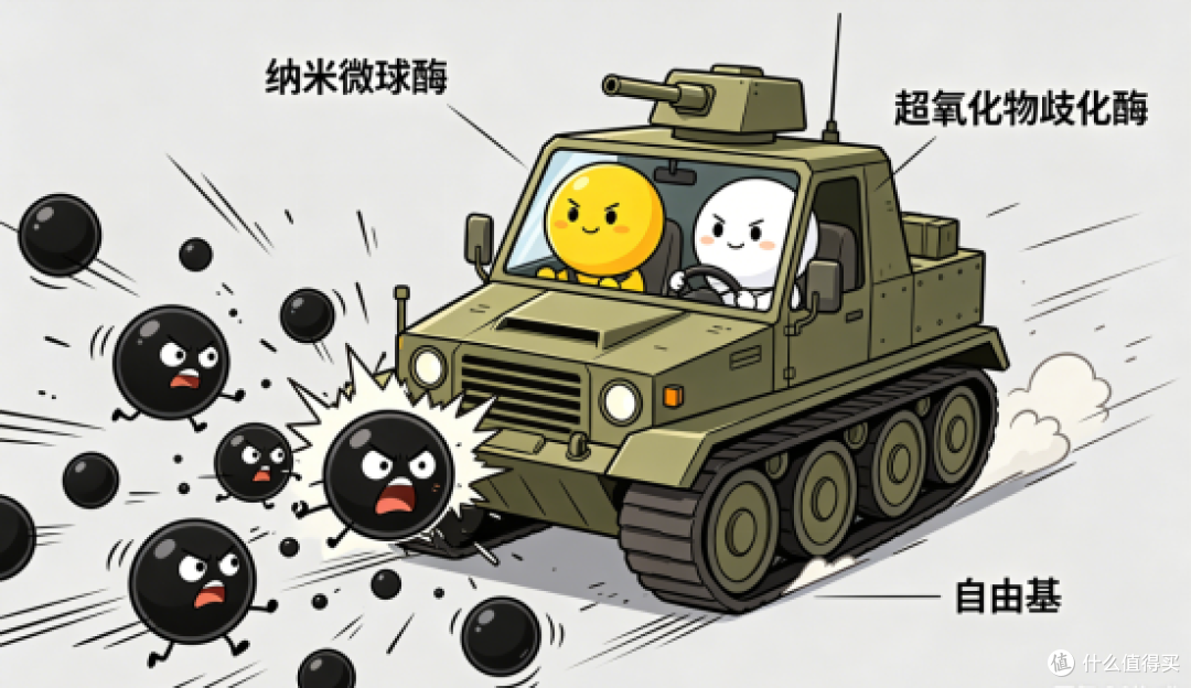 抗老抗氧化这件事,为什么要从夏天开始认真做?