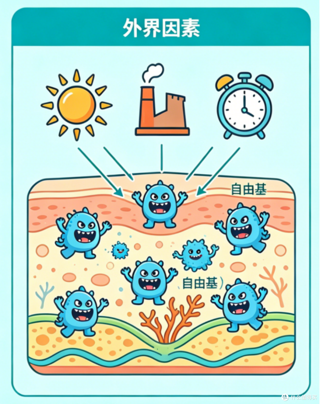 抗老抗氧化这件事,为什么要从夏天开始认真做?