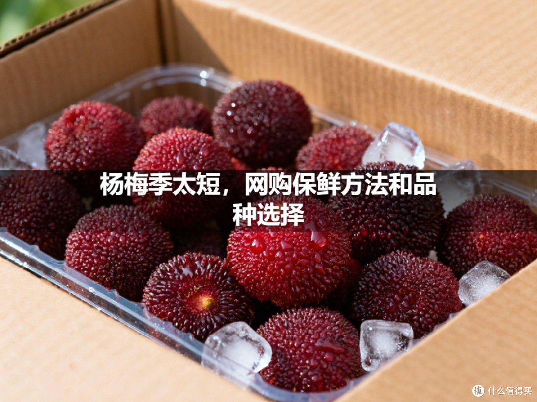 杨梅季太短，网购保鲜方法和品种选择