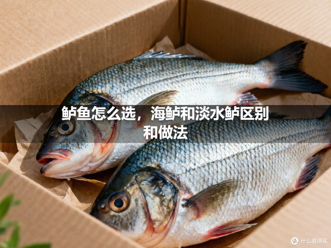 鲈鱼怎么选,海鲈和淡水鲈区别和做法