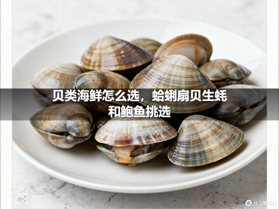 贝类海鲜怎么选,蛤蜊扇贝生蚝和鲍鱼挑选
