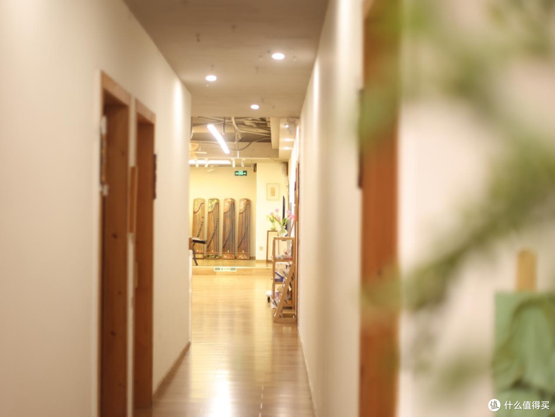 广州探店|适合成年人学习古筝的好去处