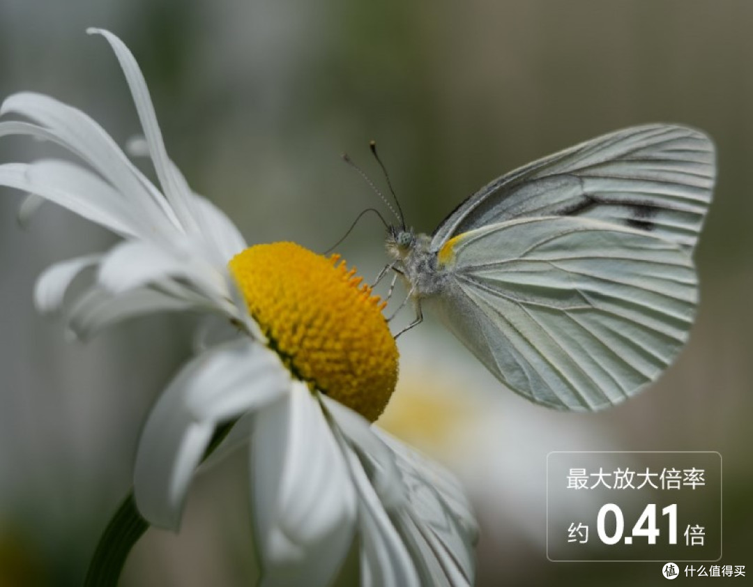 索尼正式发布轻巧便携全画幅超远摄变焦镜头FE100-400mmF5.6-8OSS